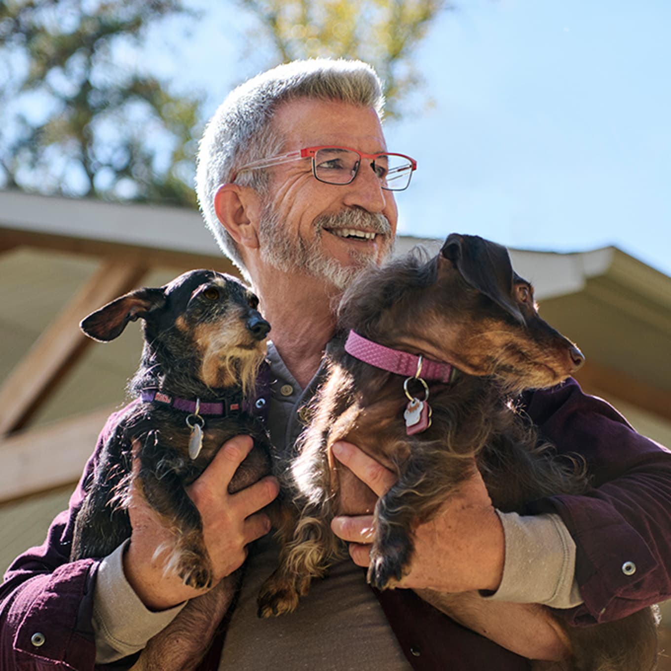 Theron holding 2 dogs.