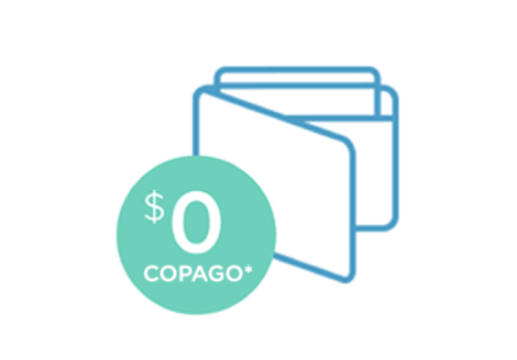 icono de una cartera y copago